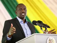 Ruto Hails UDA Sweep in By-Elections