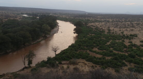 Land Disputes and Urban Harvests: Kenyans Seek Solutions on Two Fronts