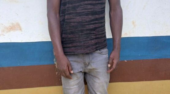SIAYA: Alleged Demo Mobilizer Arrested in Ramula Raid