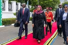 ‘We Are Not Children’: Kenyan Youth Leaders Erupt Over Tanzanian President’s ‘Mkwaju’ Remarks