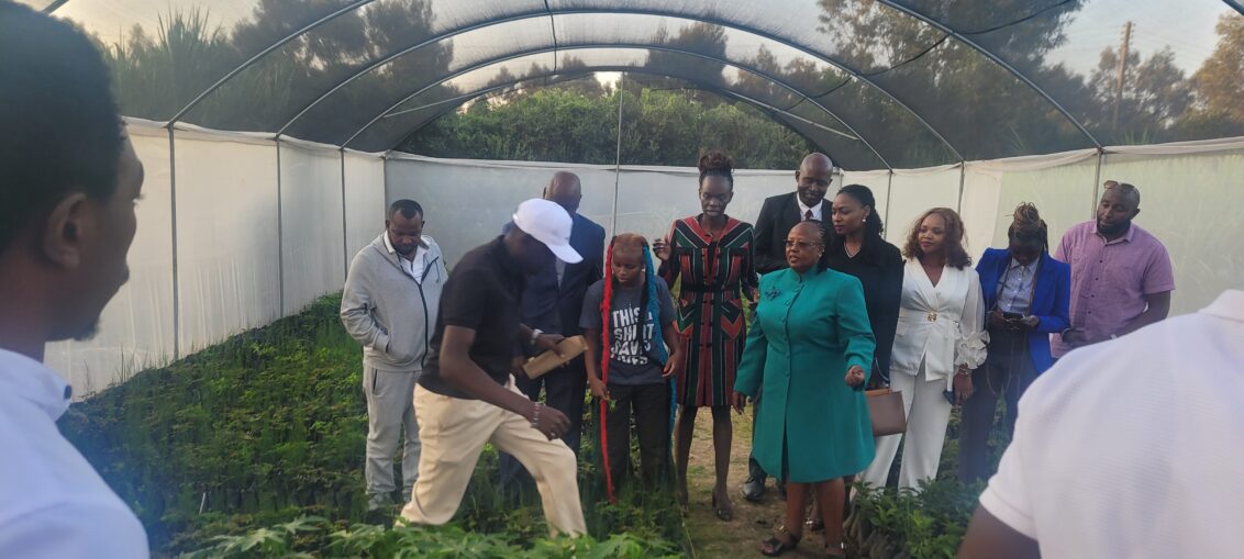 St. Teresa Equator Senior School Launches Hug the Earth Tree Nursery in Nyeri County