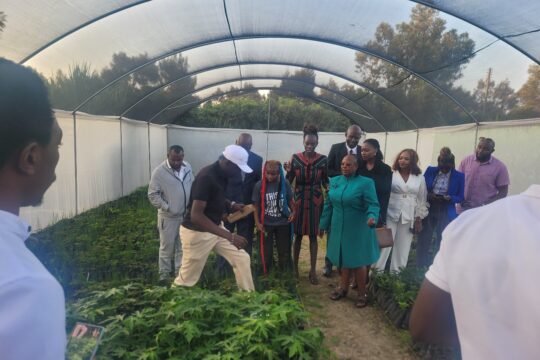 St. Teresa Equator Senior School Launches Hug the Earth Tree Nursery in Nyeri County