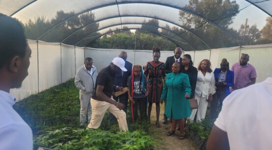 St. Teresa Equator Senior School Launches Hug the Earth Tree Nursery in Nyeri County